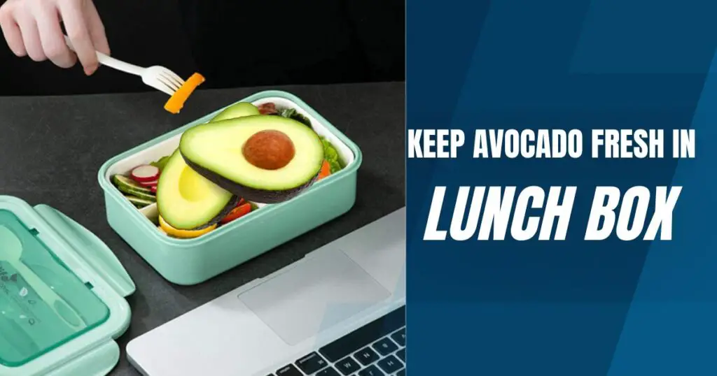 how to keep avocado fresh in lunch box