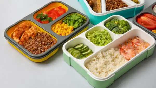 The Best Lunch Box Containers for Different Types of Food
